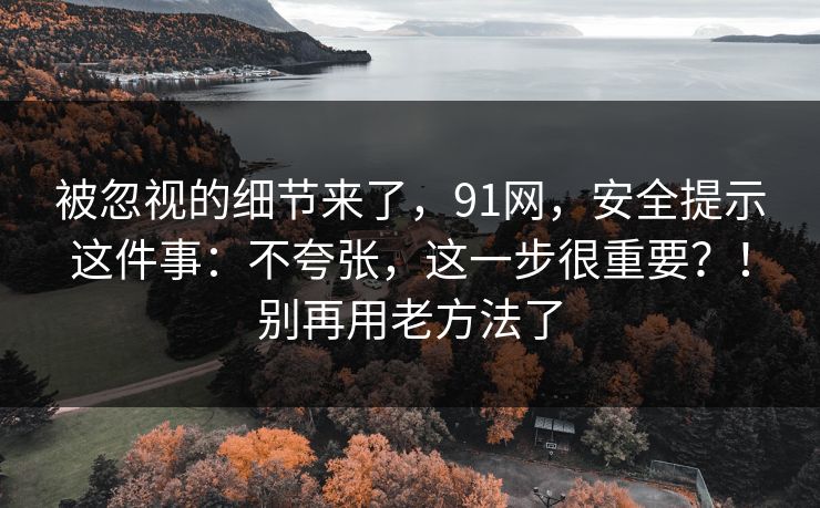 被忽视的细节来了，91网，安全提示这件事：不夸张，这一步很重要？！别再用老方法了