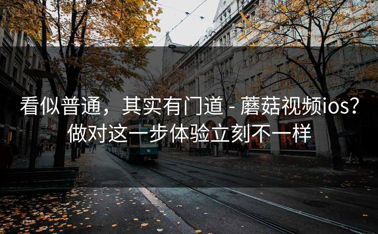 看似普通，其实有门道 - 蘑菇视频ios？做对这一步体验立刻不一样  第1张
