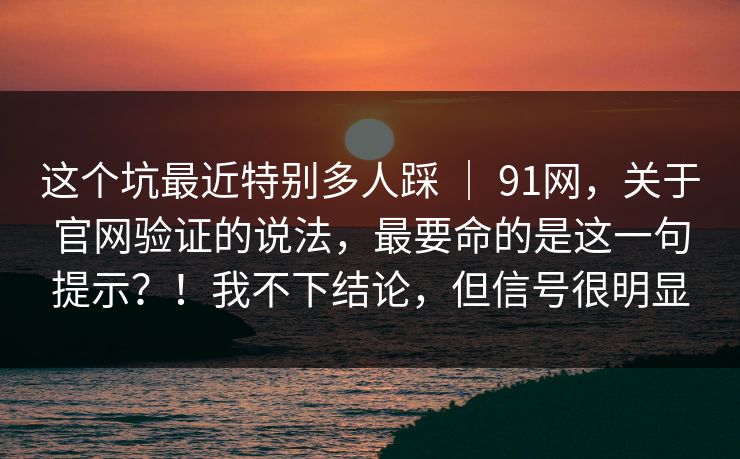 这个坑最近特别多人踩 ｜ 91网，关于官网验证的说法，最要命的是这一句提示？！我不下结论，但信号很明显